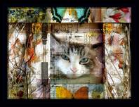 Fine Artwork On Sale! Fine Artwork On Sale! Gatos Grises (SN) (Medium)